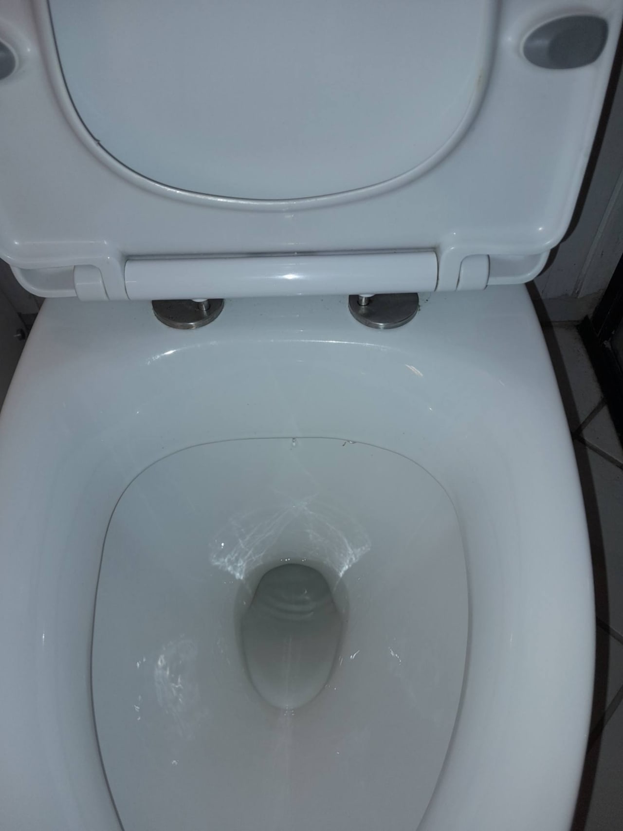 Toilettet rengjort med sædet løftet, så hængslerne er taget med